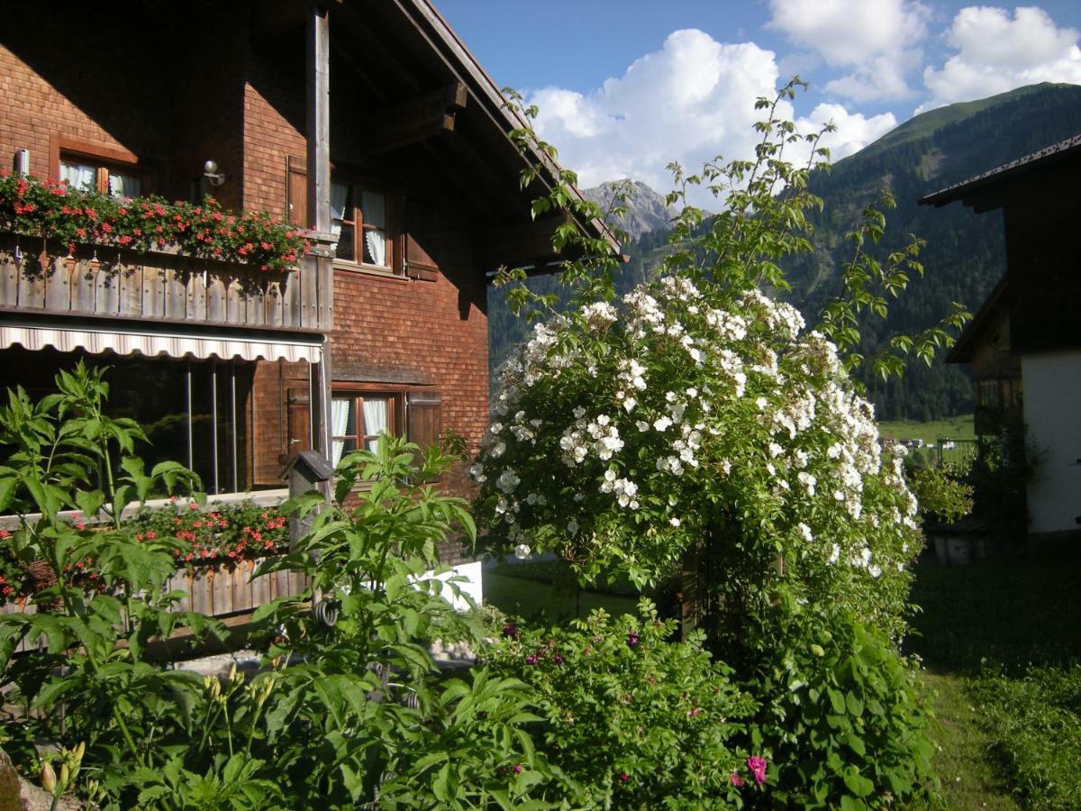 Appartements Karin Mitten im Grünen Schoppernau Exterior foto